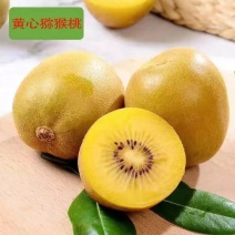 黄心猕猴桃
