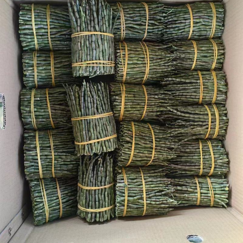 铁皮石斛小胖条！一地直发！一手货源！质量保证！全国发货！