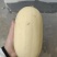 笋瓜