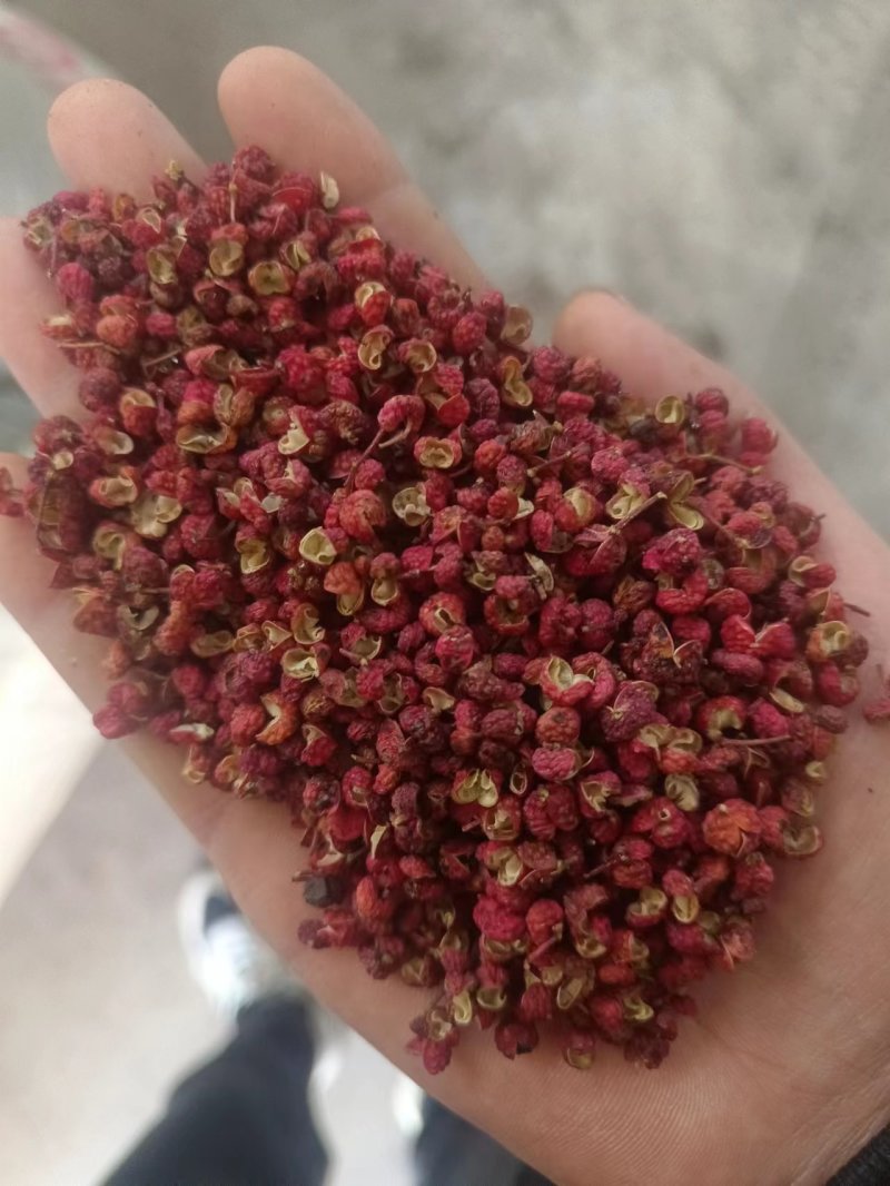 新货韩城大红袍花椒陕西渭南新货色选韩城大红袍花椒