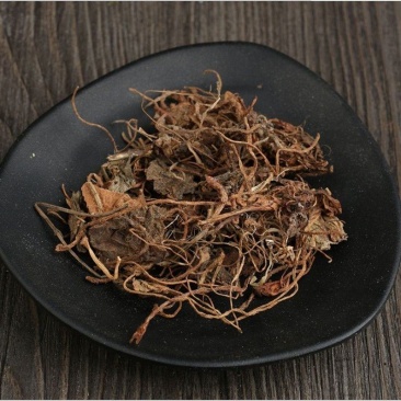 虎耳草中药材晒干虎耳草石荷叶