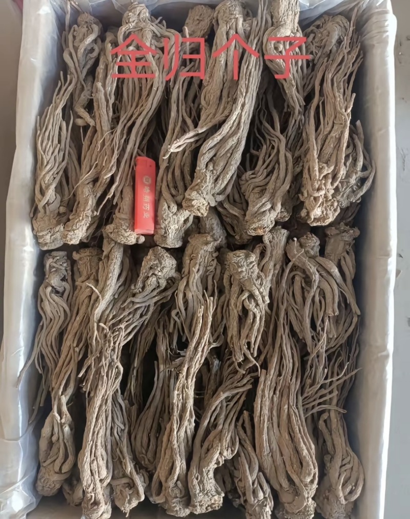 当归岷县道地当归产地直销货真价实量大从优认准老兵百草