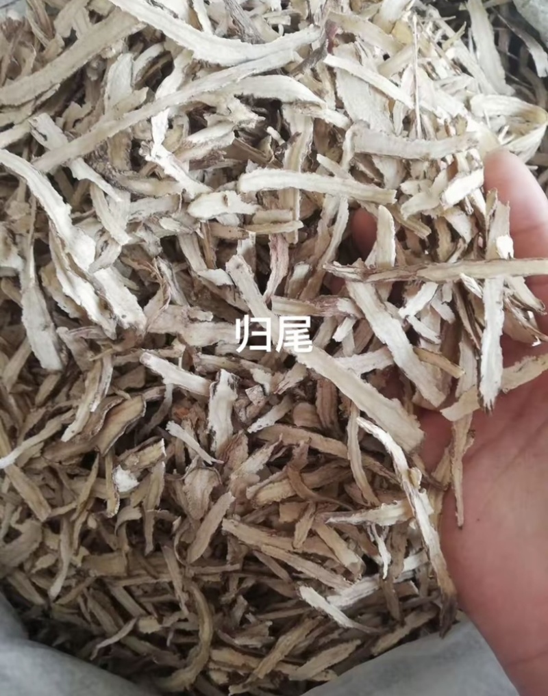 当归岷县道地当归产地直销货真价实量大从优认准老兵百草