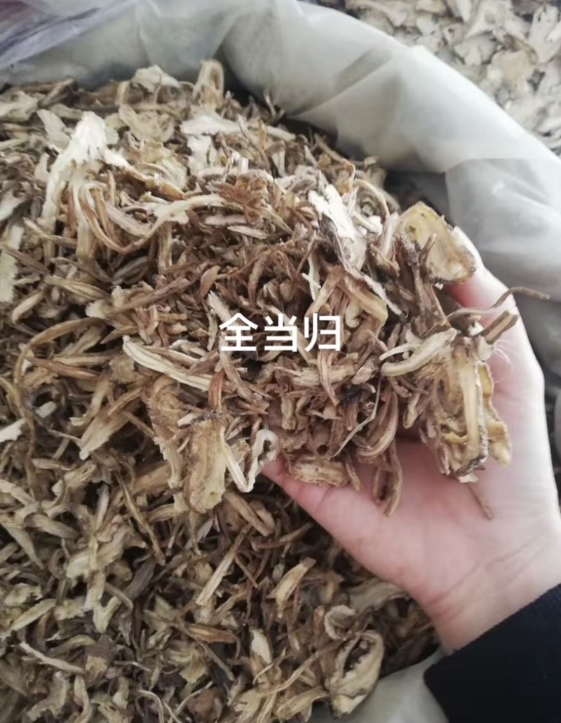 当归岷县道地当归产地直销货真价实量大从优认准老兵百草