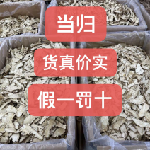 当归岷县道地当归产地直销货真价实量大从优认准老兵百草