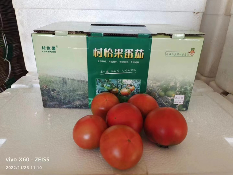 【精选】河北西红柿草莓西红柿产地直发欢迎来电咨询