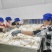 越南椰子肉，工厂新鲜取肉、纯正椰香浓郁欢迎咨询合作