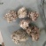 猴脑菌基地直发品质保障对接全国商超市场等