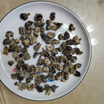猴脑菌基地直发品质保障对接全国商超市场等