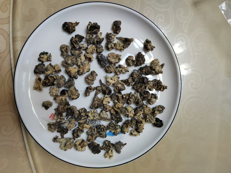 猴脑菌基地直发品质保障对接全国商超市场等