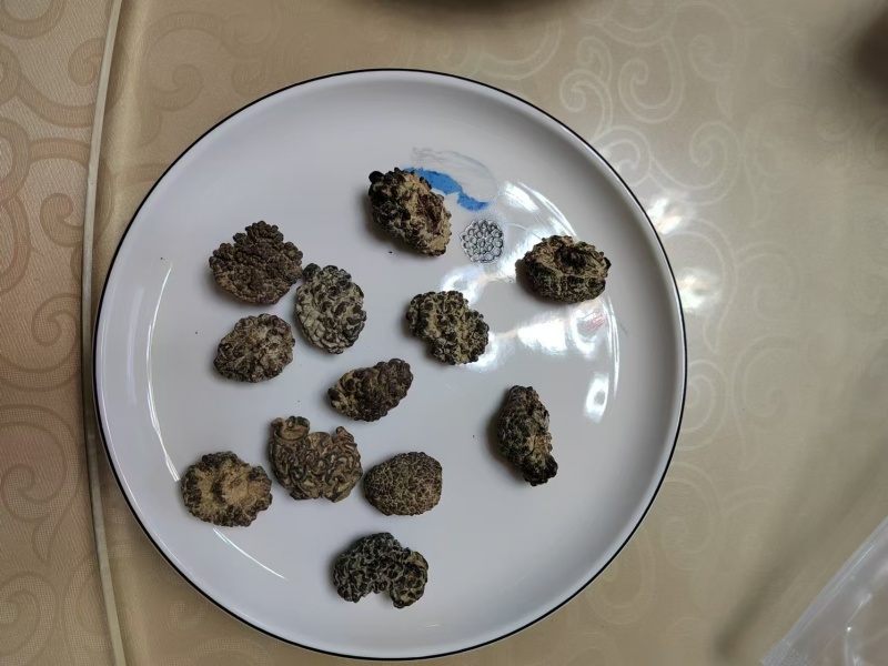 猴脑菌基地直发品质保障对接全国商超市场等