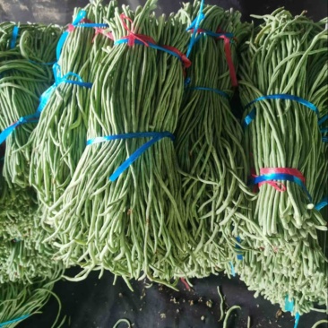 【推荐】山东豆角长豆角产地直发大量上市规格齐全