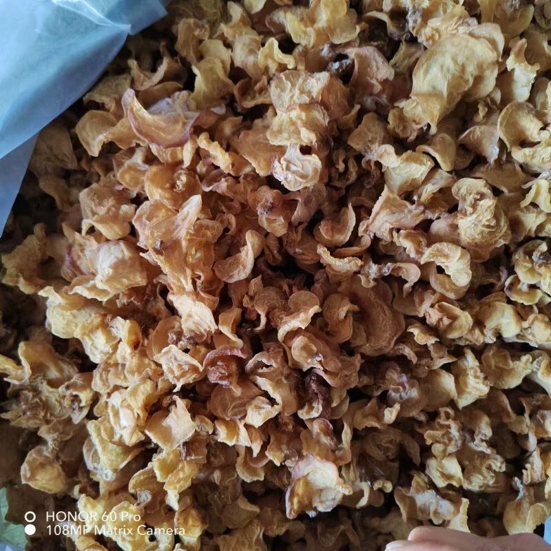 羊肚耳基地之后品种齐全保质保量对接全国商超市场