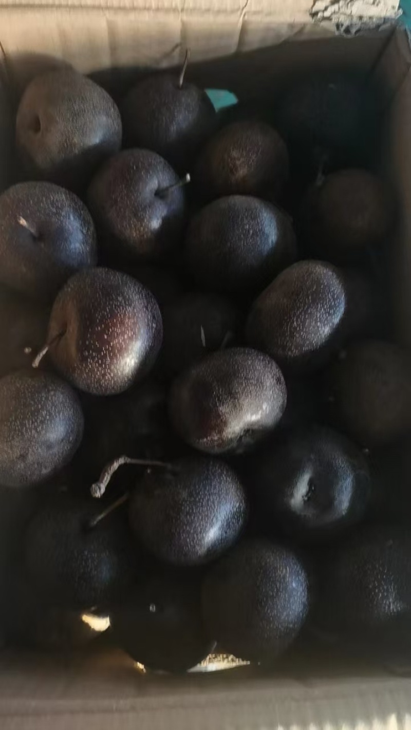 【优质】冻梨大量上市爽甜口感回头客多量大从优