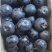 【优质】冻梨大量上市爽甜口感回头客多量大从优
