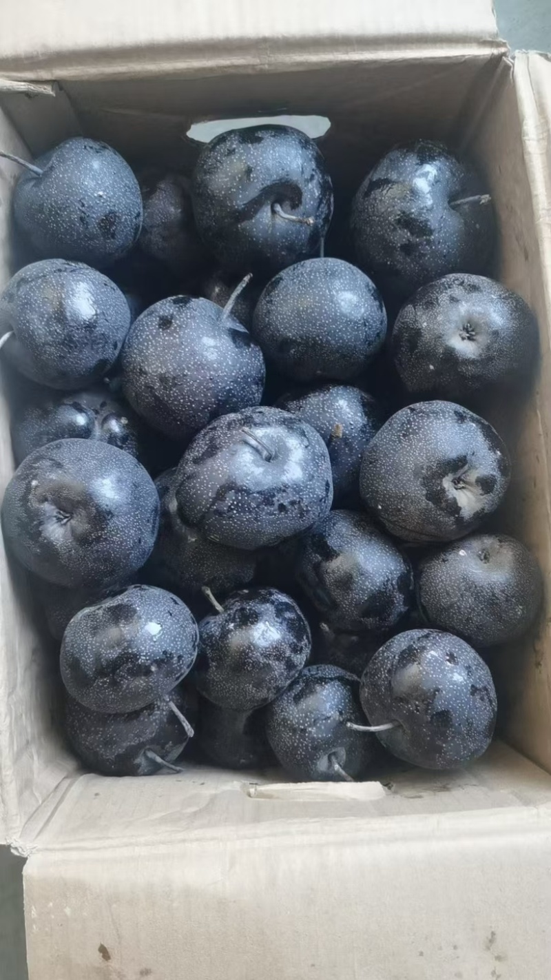 【优质】冻梨大量上市爽甜口感回头客多量大从优