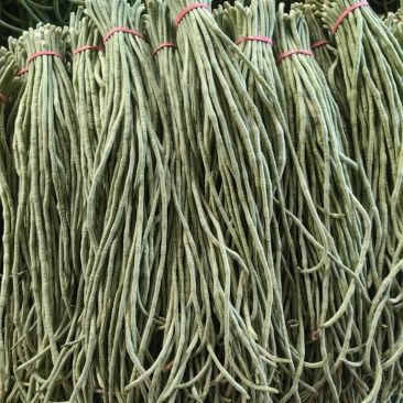 产地长豆角大量上市，价格便宜质量好，供应全国各地