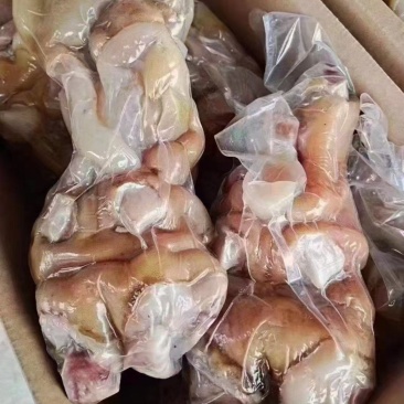 全去熟骨牛蹄