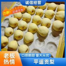 平遥贡梨一手货源供应市场电商商超可视频看货