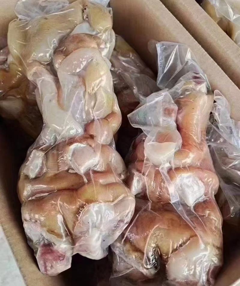 全去熟骨牛蹄