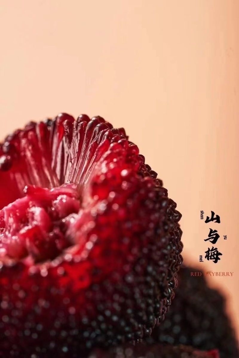 【精品】冰镇杨梅健康好货品质保证可全国发货