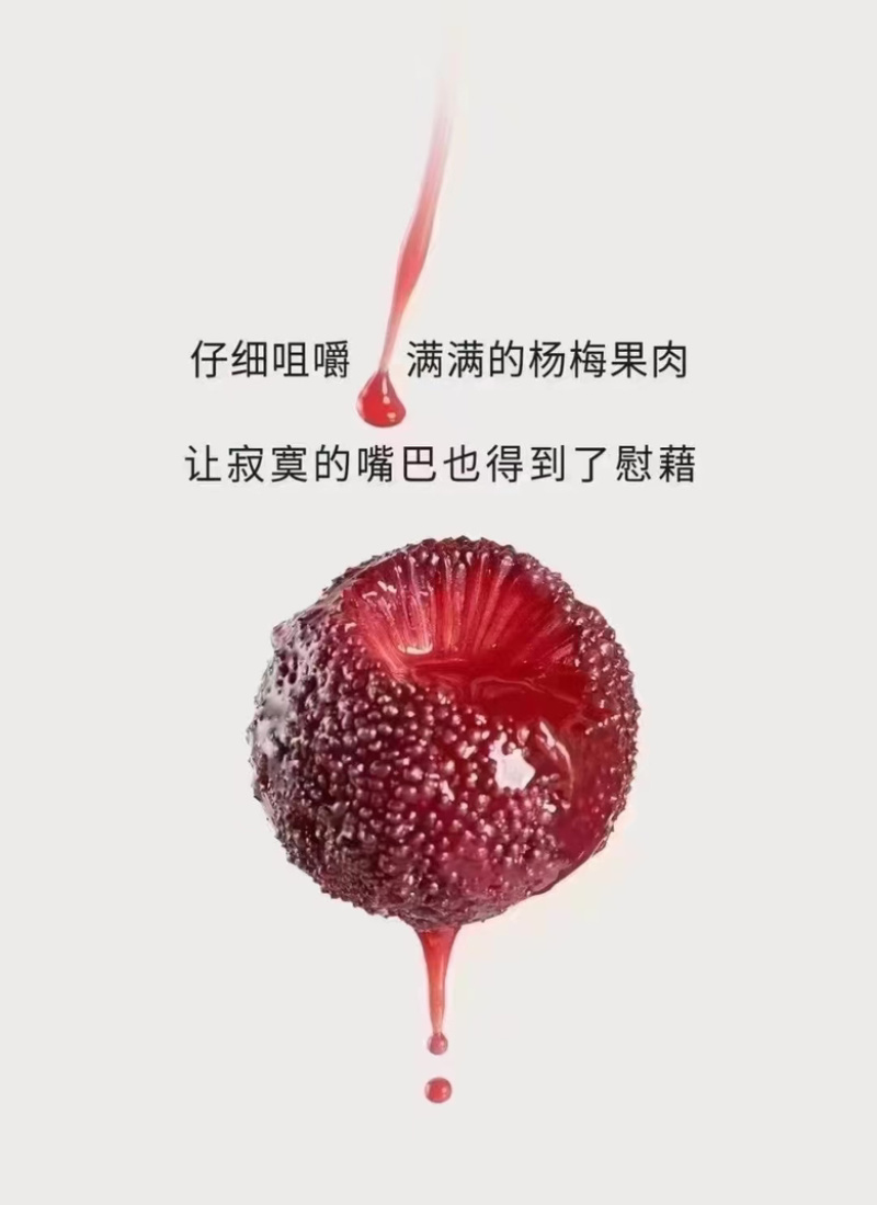 【精品】冰镇杨梅健康好货品质保证可全国发货