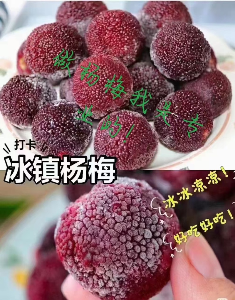 【精品】冰镇杨梅健康好货品质保证可全国发货