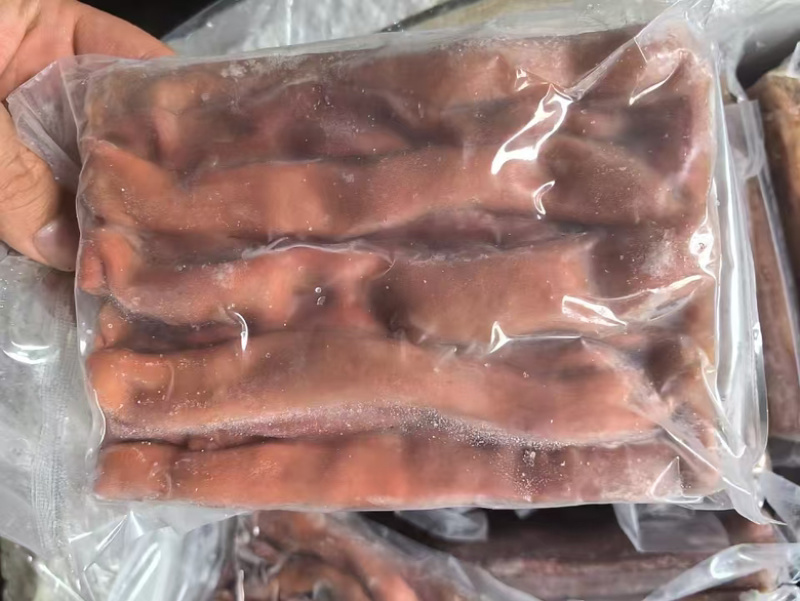 优选海肠品质保证可视频看货对接全国市场