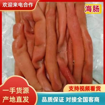 优选海肠品质保证可视频看货对接全国市场