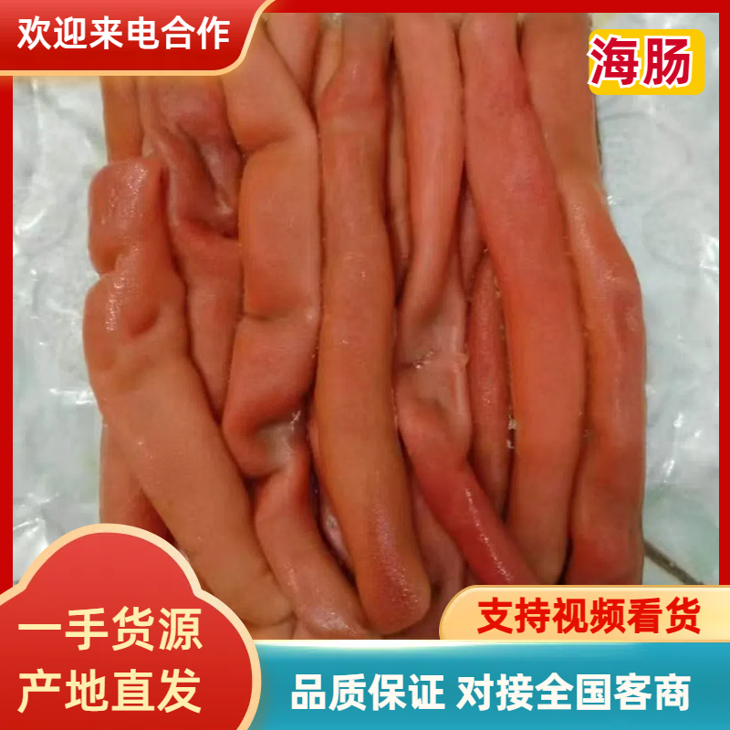 优选海肠品质保证可视频看货对接全国市场