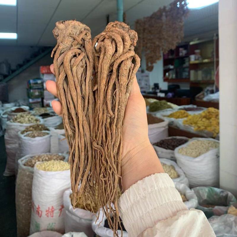 24小时在线服务产地直供新鲜当归营养丰富