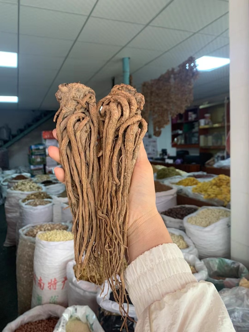24小时在线服务产地直供新鲜当归营养丰富