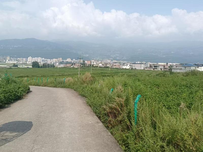 土地转让300亩