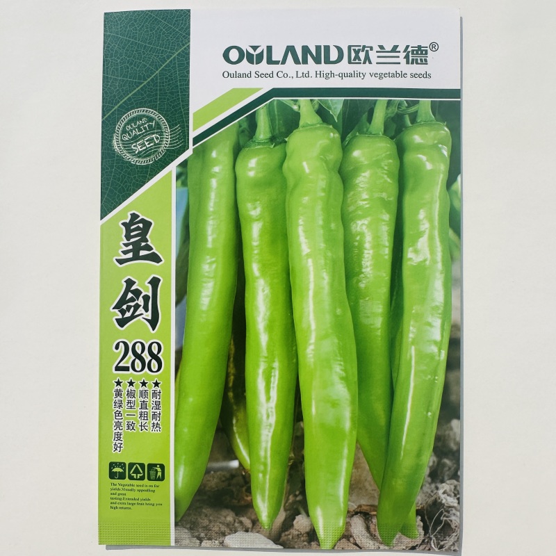 欧兰德辣椒种子皇剑288大果黄绿皮尖椒种子耐热耐湿中辣