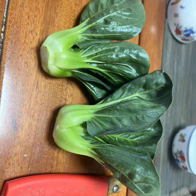 汕研小青仔种子小颗上海青菜种子宁夏青仔山东菜场青梗菜种子