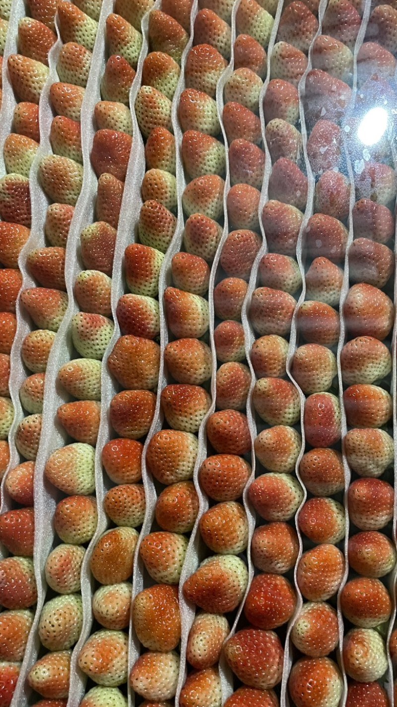 塑料大板装草莓