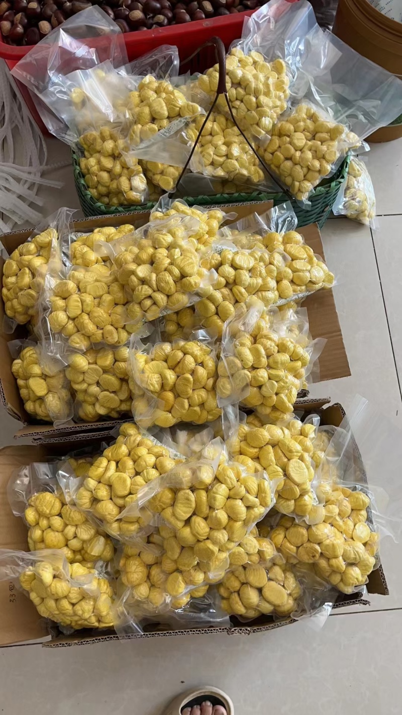 罗田板栗刺球白壳红壳