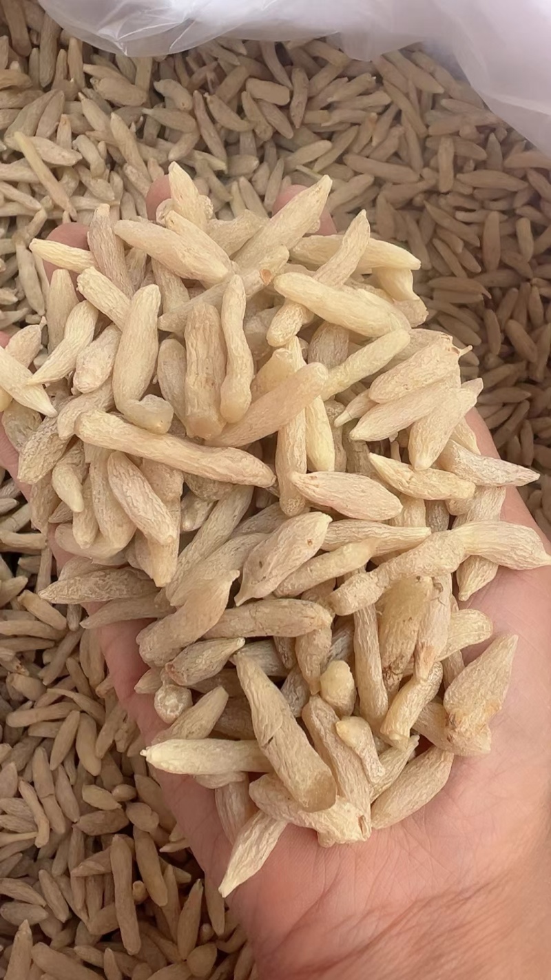 麦冬无杂质保证全国现货秒发全国供应