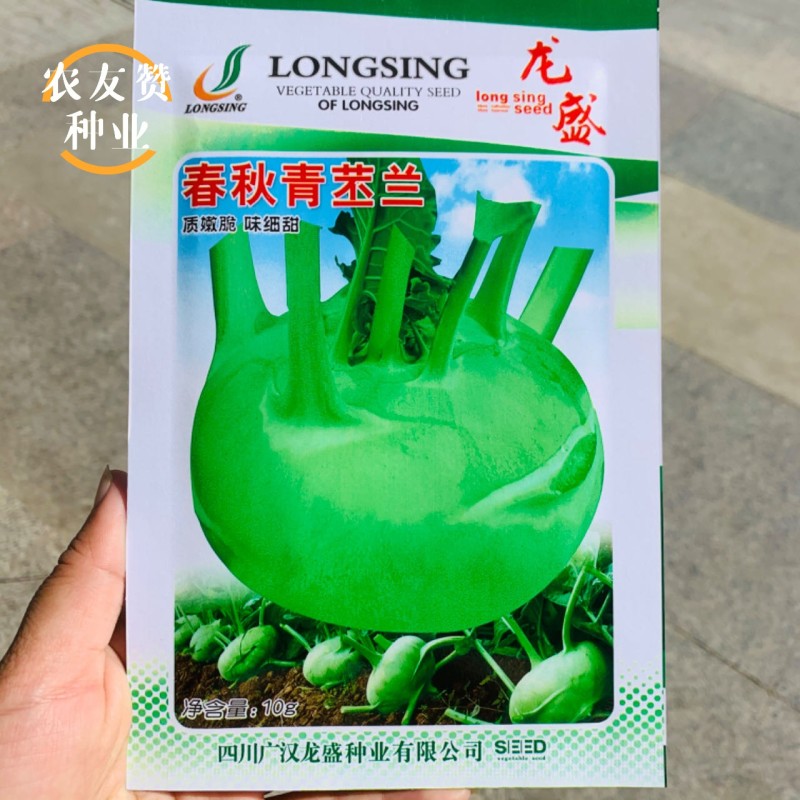 龙盛春秋青苤兰种子球茎甘蓝春秋两季种植青苤蓝种子