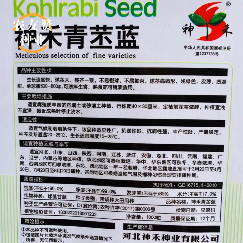 龙盛春秋青苤兰种子球茎甘蓝春秋两季种植青苤蓝种子