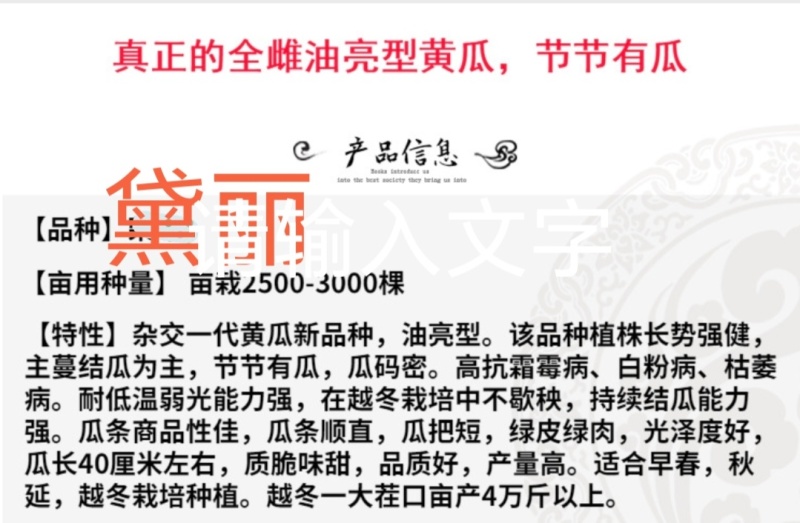 黄瓜种子黛丽全雌油亮青瓜种籽节节有瓜绿肉抗病高产