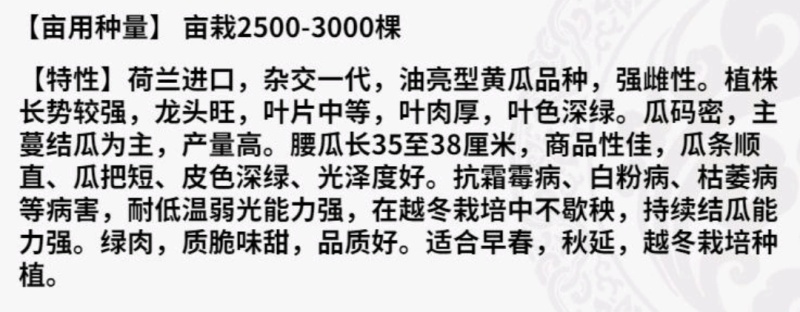 黄瓜种子丰悦种籽强雌耐寒油亮绿肉脆甜产量高抗病好