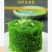 海草海菜龙须菜鹿角菜产地直发长期供货代发全国市场
