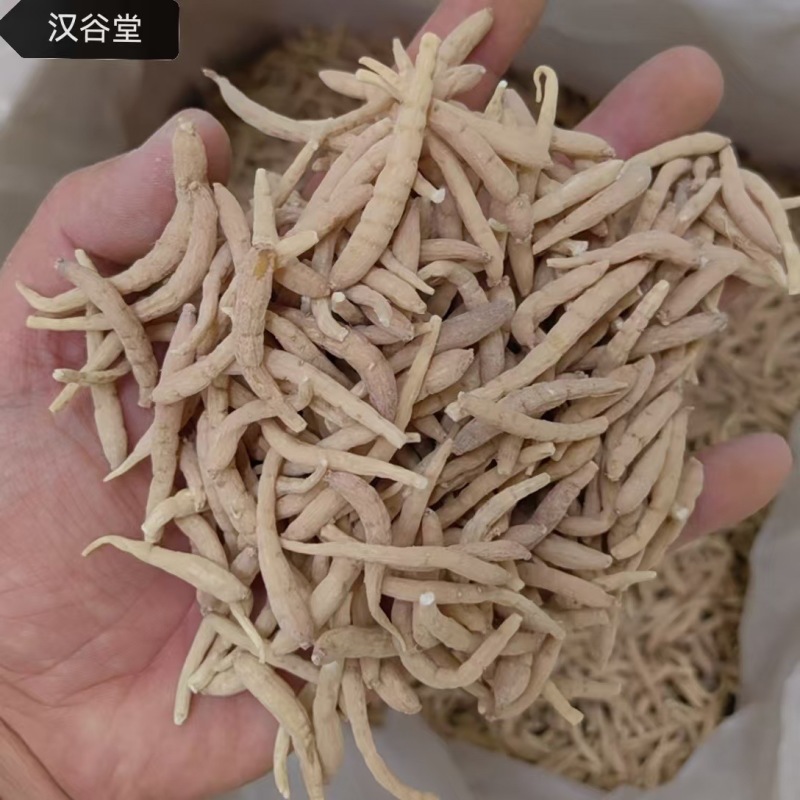 优质太子参，贵州孩儿参，新货过筛货干，一手货源保质无硫