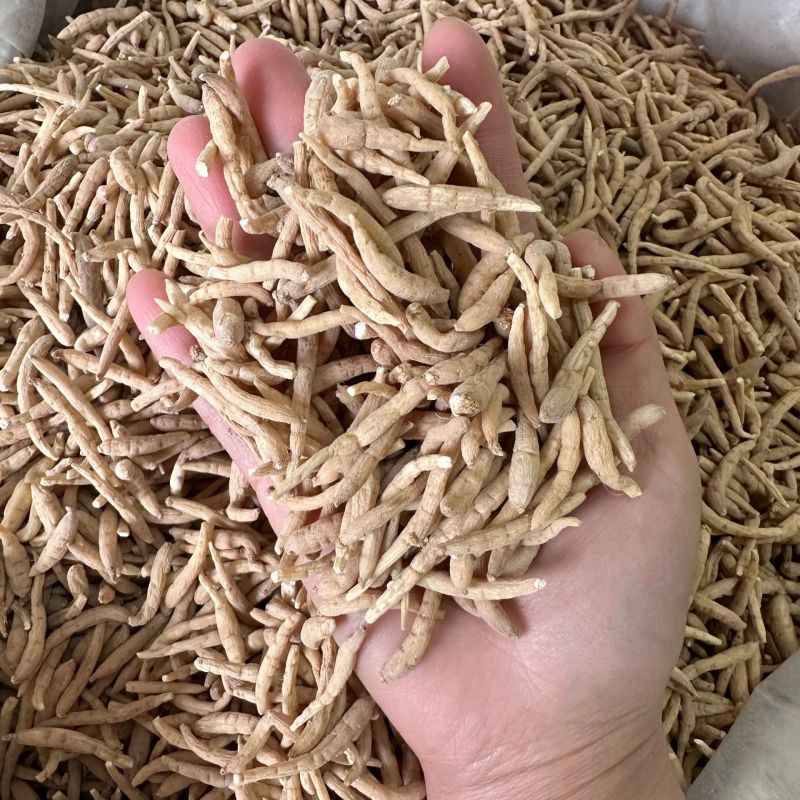 优质太子参，贵州孩儿参，新货过筛货干，一手货源保质无硫