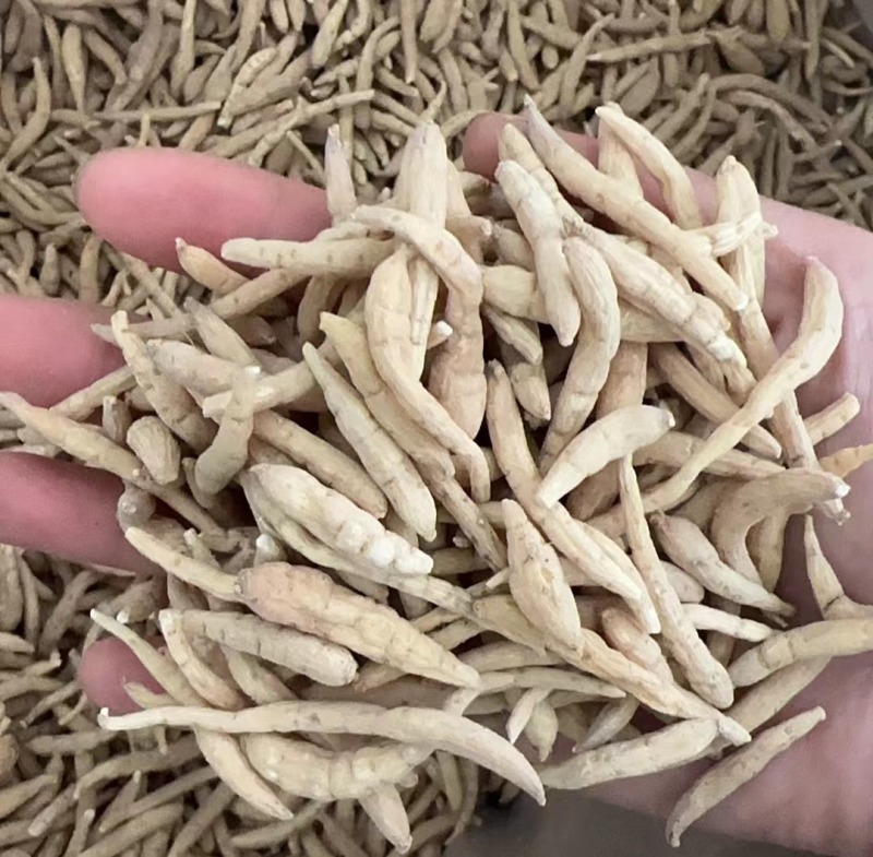 优质太子参，贵州孩儿参，新货过筛货干，一手货源保质无硫