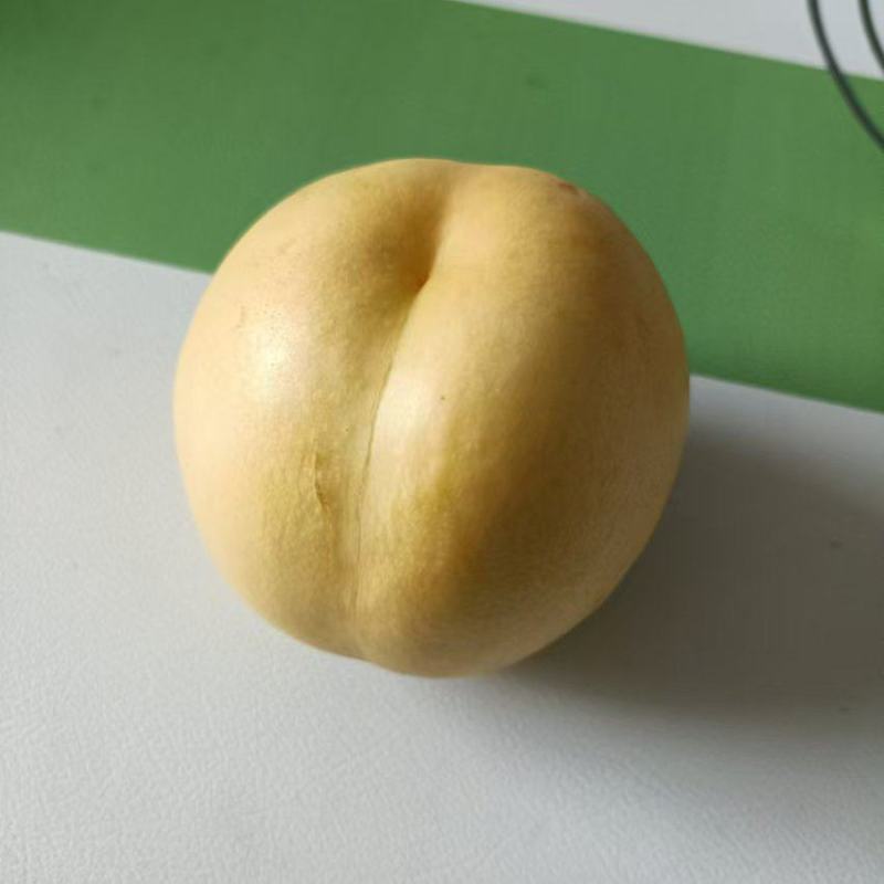 中油21