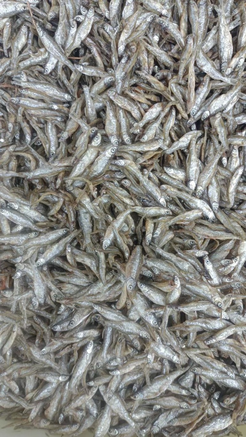 鱼干干鱼地摊电商小白肖鱼干小小油炸鱼干河鱼干