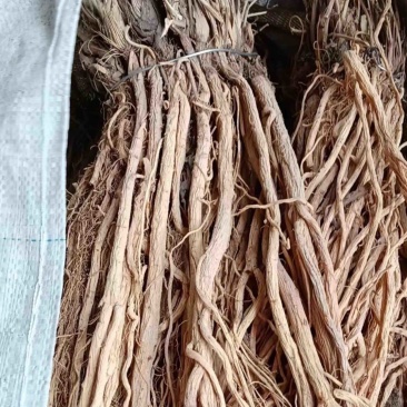 防风地摊电商批发防风中药材防风干