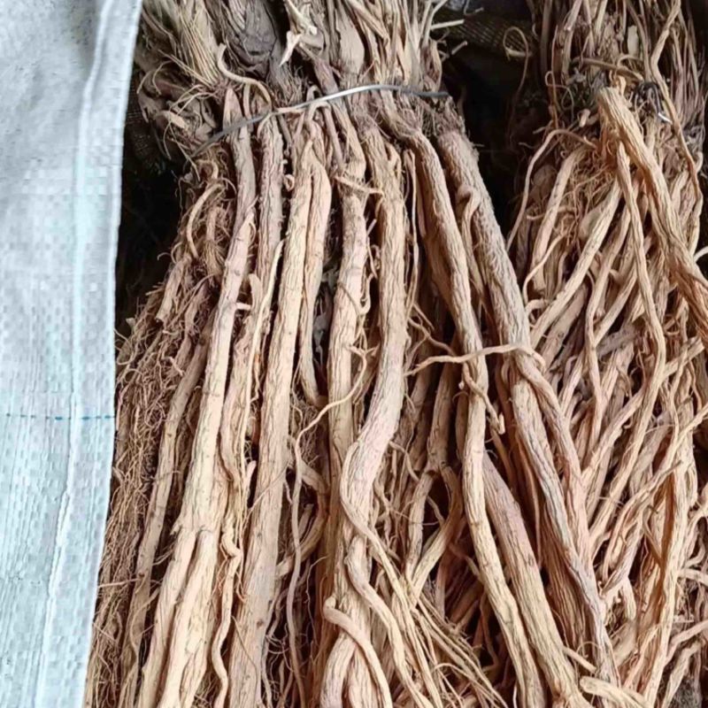 防风地摊电商批发防风中药材防风干